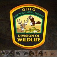 Ohio Division of Wildlife Logo