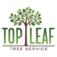 Top Leaf Tree Service Logo