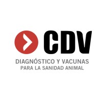 CDV Logo