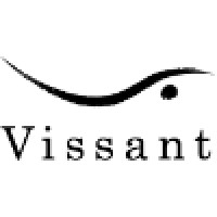 Vissant Capital Corporation Logo