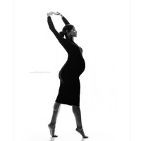 Diana Sechrist Photography Logo