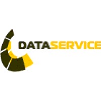Data Service OÜ Logo