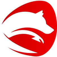Vixsoft Systems Ltd Logo