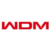 Wandong Medical Logo
