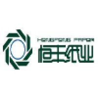 Mudanjiang Hengfeng Paper Co., Ltd. Logo