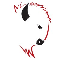 Buffalos Mechanical Inc. Logo