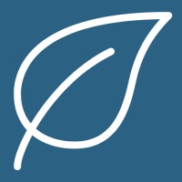 Mintedleaf Story Studio Logo