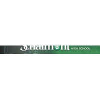 Schalmont High School Logo