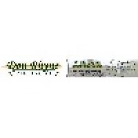 Don Rhyne Painting Logo