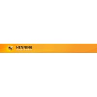 Henning Public School Logo