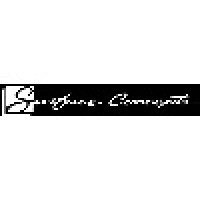 Surface Concepts Logo