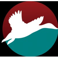 CinnamonTeal Design and Publishing Logo