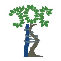 Jefferson Orthopedic Clinic Logo