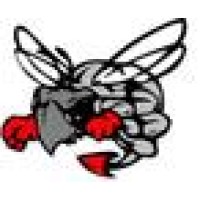 Hilldale Public Schools Logo