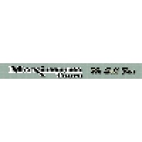 Maximum Tours Inc Logo