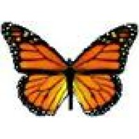 Monarch Bus Service Logo