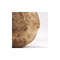 222 Artisan Bakery Logo