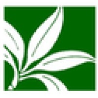 Pacific Health Ministry Logo