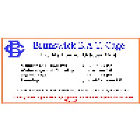 Brunswick Bat Cage Logo
