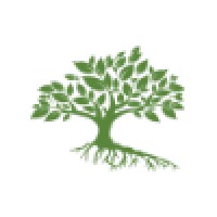 Life Christian Fellowship Logo