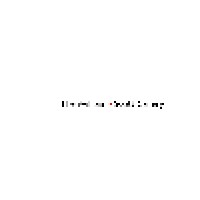 William Scott Gallery Logo