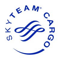 SkyTeam Cargo Logo