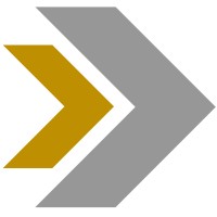 Syed Professional Services Logo