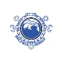 Dolphin Design Logo