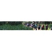 Habonim Dror Camp Gilboa Logo