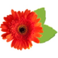 Complete Healthcare For Women Logo