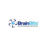 BrainBits LLC Logo