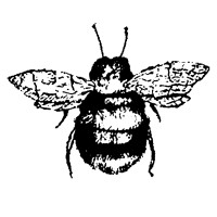 Abejas Boutique Logo
