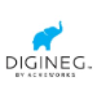 DIGINEG Ltd. Logo