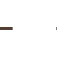 Turtle Alley Chocolates Logo