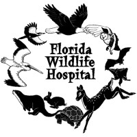 Florida Wildlife Hospital Logo