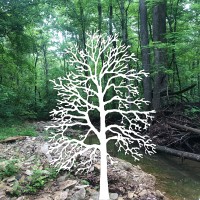 Sycamore Land Trust Logo