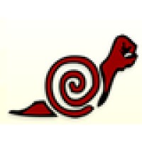 Mexico Solidarity Network Logo