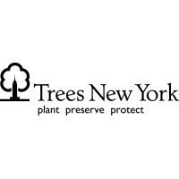 Trees New York Logo