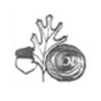 Pacific Lumber Company Logo