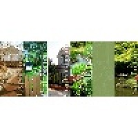 Don King Landscaping Logo