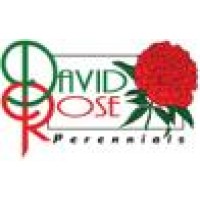 David Rose Perennials Logo
