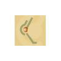 Chicago Podiatric Surgeons Logo