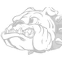 Bald Knob School District Logo