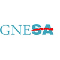 Georgia Network To End Assault Logo