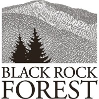 Black Rock Forest Logo
