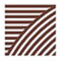 Ziccardi Designs Logo