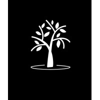 AmberAcademy Logo