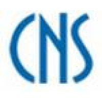 Creative Network Systems Logo