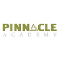 Pinnacle Academy Logo