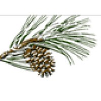 Timber Ridge School Logo